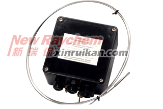 RAYSTAT-EX-03������Ӝؿ���